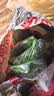 花沃里仿真绿萝叶过胶 仿真花绿植假花装饰年宵花年会婚庆吊顶藤99片5条 实拍图
