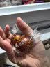 瑞士莲【官方正品】软心榛仁牛奶巧克力200g盒装教师节礼物休闲零食 实拍图
