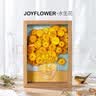 JoyFlower梵高向日葵相框永生花结婚纪念日生日礼物新婚实用送女生朋友新娘 实拍图