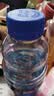 脉动雪柚橘子口味400ML*15迷你瓶电解质水运动饮料补水低糖维生素整箱 实拍图