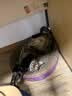 顽皮（Wanpy）Happy100果饭儿系列宠物零食猫罐头三文鱼80g*12罐 猫粮猫罐头 实拍图