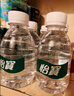 怡宝纯净水口袋水迷你装210ml*24 整箱装 儿童户外演出 【1箱】210ml迷你口袋水*24瓶 实拍图
