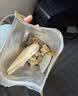 网易严选冻干桶鸡肉宠物零食100%鲜肉蛋黄五拼猫狗通用 呵护肠胃 50g 实拍图