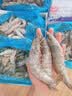 鲜京采 原装进口厄瓜多尔白虾 净重3.3斤 大号30-40规格 50-66只/盒 实拍图