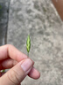 尊匠苹果充电器17-6适配器原装正品充电线13氮化镓30/45W快充线PD套装iPhone14ProMax手机充电头数据线 【苹果6-14系列】30w快充头+闪充线丨1米套装 实拍图