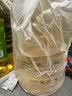 金龙鱼 食用油 非转基因 物理压榨玉米油6.18L（蕴含植物甾醇） 实拍图