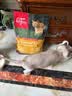 Orijen渴望猫粮 成猫幼猫粮 全价通用无谷原味鸡肉进口5.4kg效期27/1 实拍图