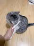 柒哦猫梳子跳蚤梳猫咪除蚤排梳狗狗梳子去跳蚤梳密齿梳神器猫用品 大除蚤排梳【大号】 实拍图