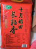 十月稻田 长粒香大米 10斤（东北大米 香米 5kg/公斤） 实拍图
