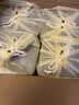 洋河梦之蓝 M3 52度 500ml*4整箱装 绵柔浓香型白酒 中秋送礼 实拍图