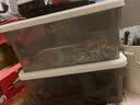 禧天龙桌面收纳盒多功能透明收纳盒带盖玩具零食储物盒 烟熏灰7升3个装 实拍图