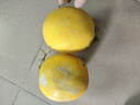 京鲜生 甘肃大漠黄金哈密瓜 净重5-6斤1-2粒礼盒装 生鲜水果源头直发 实拍图