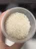 谷丰领猫牙米一级大米优质南方米当季新米正宗丝苗米长粒香大米煲仔饭 正宗猫牙米10斤*1袋 实拍图