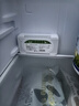 绿之源活性炭除味盒1盒装 活性炭包去除异味器回南天竹炭包除湿剂 实拍图