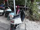 立马电动摩托车耀影 至高106KM72V32Ah长续航智能APP外卖通勤电动车茶白 实拍图