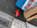 神龙25年新国标水基型灭火器3L 商用企业车载家用消防器材 MS/ABEF3 实拍图