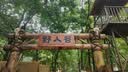 七匹狼男士内裤纯棉抗菌平角内裤男短裤七夕【银离子10A抗菌】棉氨4条XL 实拍图