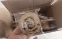 良品铺子羽衣甘蓝全麦棒500g早餐面包健身轻食代餐吐司零食 实拍图