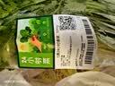 【火锅季】七鲜24小时香菜 100g 实拍图