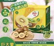 佳沛（zespri）新西兰阳光金奇异果10粒巨大果单果146-175g 猕猴桃水果礼盒 实拍图