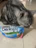 齿一生猫零食猫咪饼干洁齿磨牙零食成猫三文鱼味170g Dentalife 实拍图