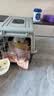 腆宠宠物航空箱小号 猫咪航空箱猫狗 猫包猫笼外出车载猫箱狗狗托运 实拍图