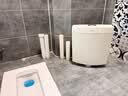 箭牌厕所水箱蹲坑蹲便器冲便器大冲力易清洁双按键水箱 实拍图