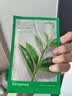 悦诗风吟（innisfree）鲜萃肌活面膜[绿茶]10片保湿补水舒缓改善暗沉礼物 实拍图