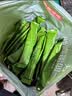 京东京造拿铁奶茶三合一速溶咖啡粉0反式脂肪无植脂末袋装100条1500g 实拍图