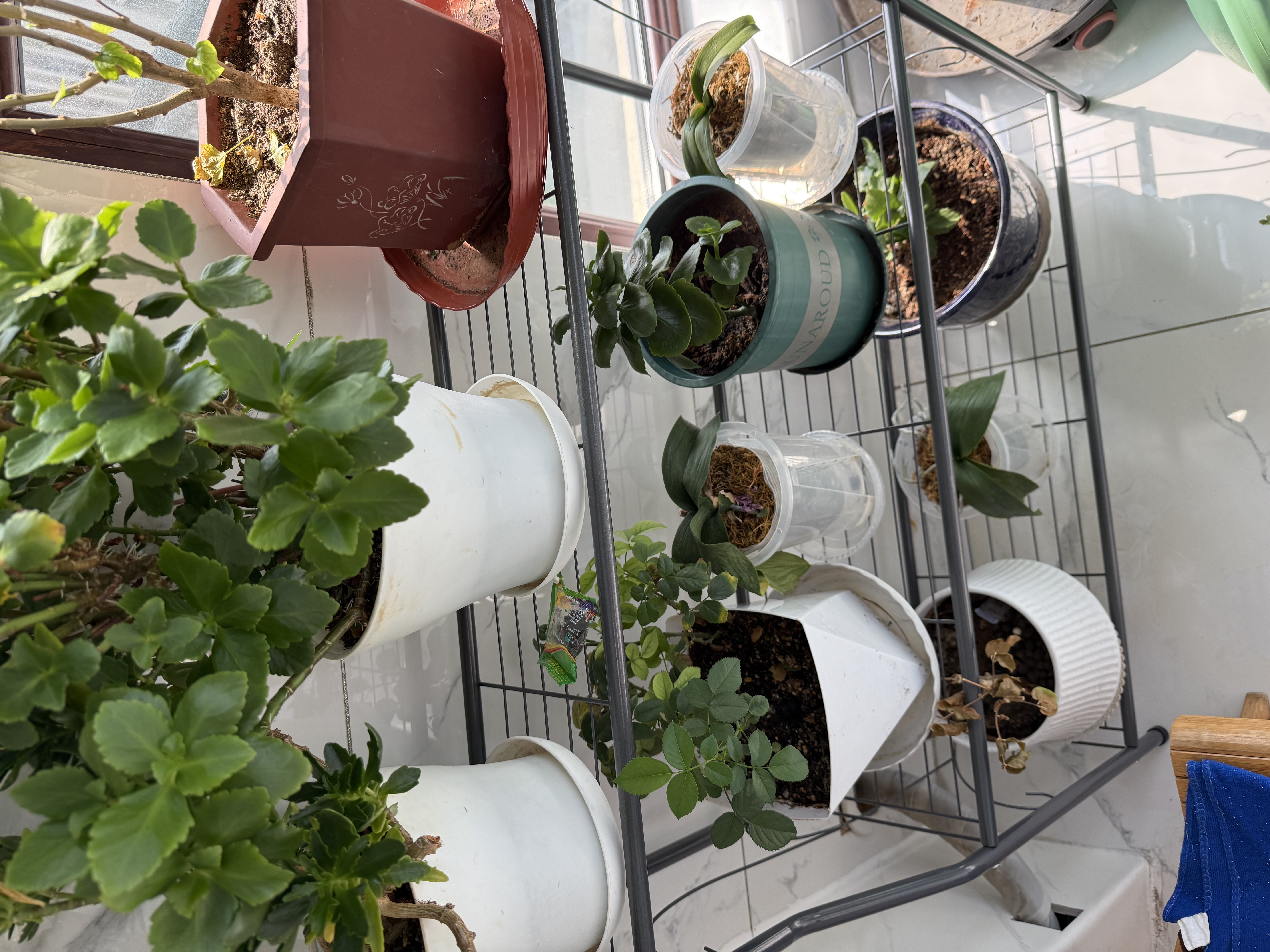 可移动花架子室内家用阳台多层阶梯式花架子客厅花盆架简易落地式 【标准款-三层】深灰闪银（长71CM 质量保证【承重力强】 实拍图