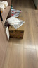 好奇（Huggies）铂金装小桃裤纸尿裤NB84片(5kg以下)尿不湿【夏季散热王】 实拍图