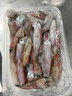 lasicilia【进口】拿坡里风味番茄罗勒意面酱350g意面伴侣风味浓郁 实拍图