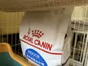 皇家猫粮 室内成猫粮 I27 通用粮 12月以上 4.5KG 实拍图