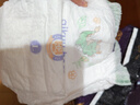名典熊山茶花拉拉裤L80片【18-24斤】婴儿尿不湿超薄透气尿裤男女宝通用 实拍图