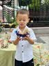 南孚7号电池12粒 七号碱性 聚能环5代 适用耳温枪/血糖仪/无线鼠标/遥控器/血压计/挂钟/血氧仪等 实拍图