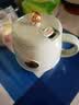 乐扣乐扣养生杯烧水杯 电煮杯电热水杯加热水杯迷你养生壶热奶杯电炖杯旅行户外EJC3125GRN 实拍图