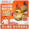 温氏供港老母鸡2.4斤 散养土鸡富硒老母鸡 冷冻走地鸡500天鸡汤 实拍图