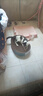 疯狂的主人猫抓板窝特大号猫玩具猫爪板猫抓盆不掉屑猫窝椭圆形瓦楞纸 实拍图