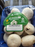 【烧烤季】白蘑菇(口蘑) 230g 实拍图