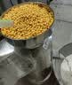 新贵族商用豆浆机石磨豆腐机电动磨浆机家用小型全自动石磨打浆机豆花机渣浆分离做豆腐脑 新升级100型（1100W 20KG/小时） 实拍图