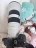 索尼（SONY）FE 100-400mm F4.5–5.6 GM OSS 全画幅超远摄变焦G大师镜头 E卡口（SEL100400GM） 实拍图