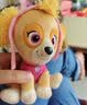 汪汪队立大功（PAW PATROL）毛绒玩具狗狗玩偶经典款天天小号坐姿公仔男女孩儿童生日礼物 实拍图