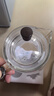 京东京造茶壶 玻璃茶具泡茶器茶水分离焖茶壶家用办公茶杯600ml 实拍图