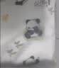 安可新婴儿7A抗菌全棉邹布浴巾 新生儿吸水洗澡纱布盖毯萌熊猫100*100cm 实拍图