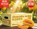 京鲜生 新疆黄金哈密瓜 2粒 单果2.5斤起 净重6-8斤 生鲜水果礼盒 实拍图