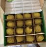 佳沛（zespri）新西兰阳光金奇异果16粒礼盒经典果单果 88-103g  猕猴桃水果礼盒 实拍图