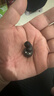 弱水时砂【周传雄推荐】琉璃MK2无线蓝牙耳机入耳式音乐运动耳机主动降噪HiFi音质蓝牙6.0七夕情人节礼物 【松墨黑】HiFi音质|-40dB降噪 LDAC高音质协议 实拍图