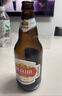 燕京啤酒 U8小度酒500ml*12瓶 整箱装 新老包装交替发货 现货热卖 实拍图