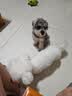 普安特宠物狗狗驱虫药犬非泼罗尼体内外一体犬虱跳蚤爱滴克+内驱 实拍图