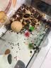 阔庭（KUOTING）鱼缸懒人鱼缸家用客厅办公室金鱼缸过滤鱼缸黑色款【大号】 实拍图